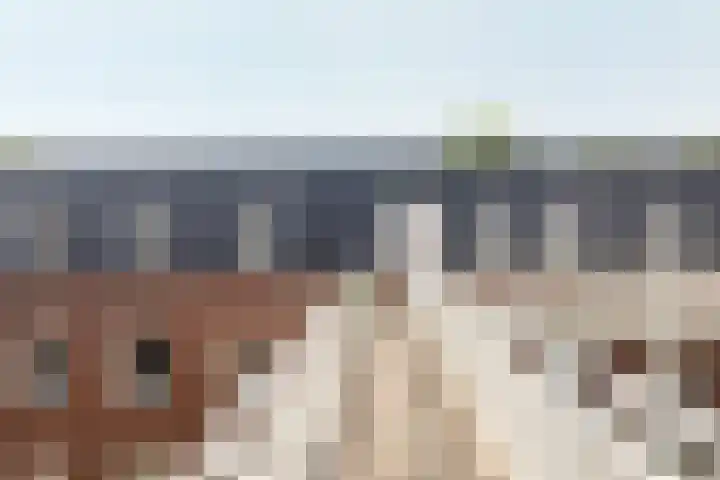 Pelssingel 32 's-Hertogenbosch thumbnail 27
