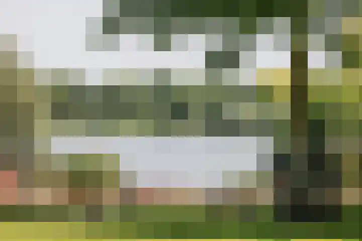 Pelssingel 32 's-Hertogenbosch thumbnail 28