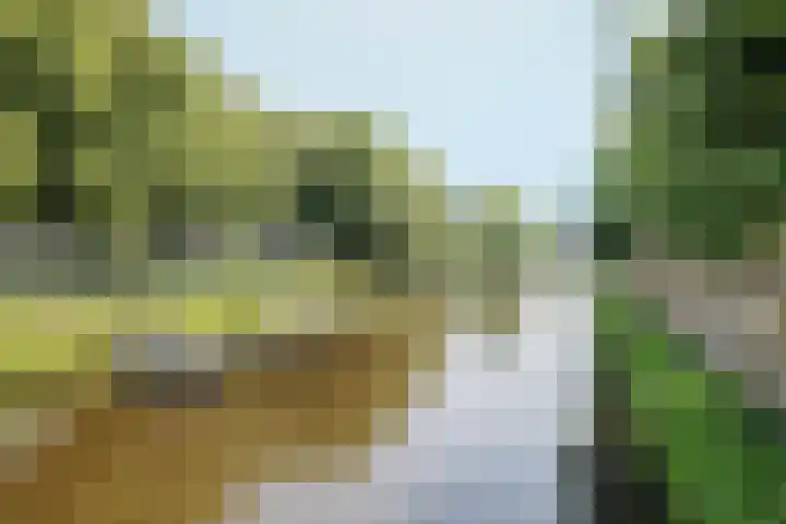 Pelssingel 32 's-Hertogenbosch thumbnail 29