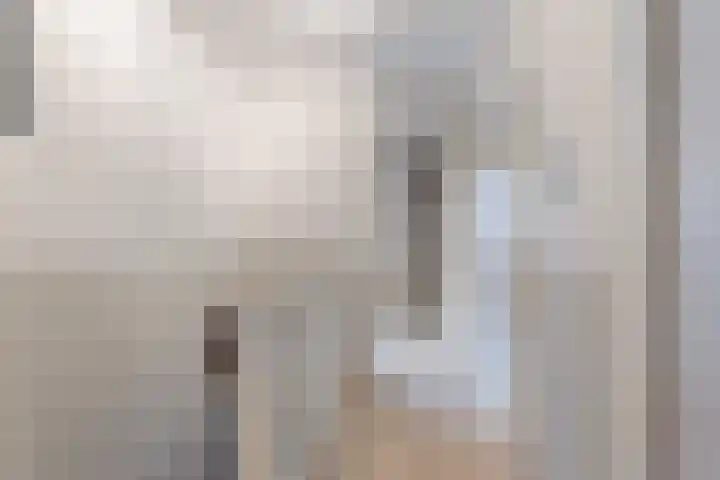 Pennekert 12 Eindhoven thumbnail 21