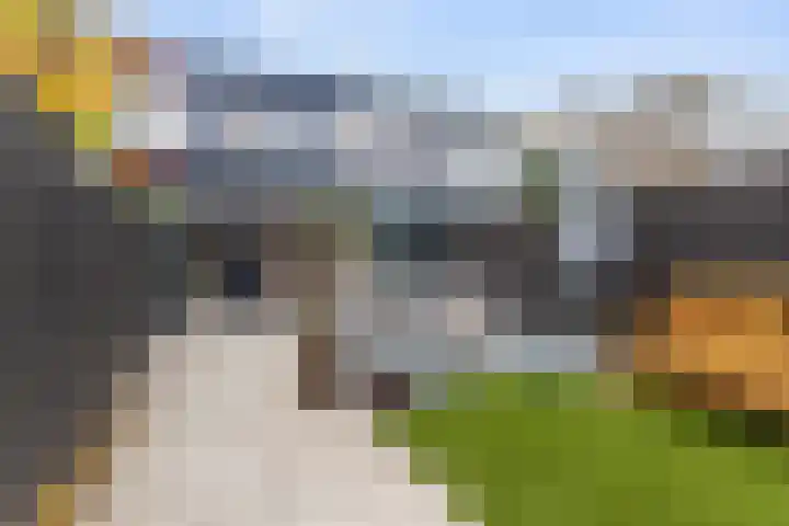 Pennekert 12 Eindhoven thumbnail 7