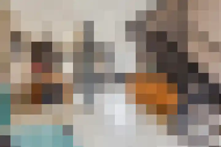 Pennekert 14 Eindhoven thumbnail 11