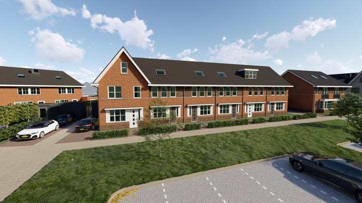 Penningkruid 11 in Vroomshoop foto