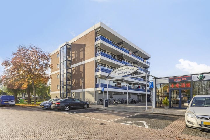 Penningkruid 12 in Kampen foto