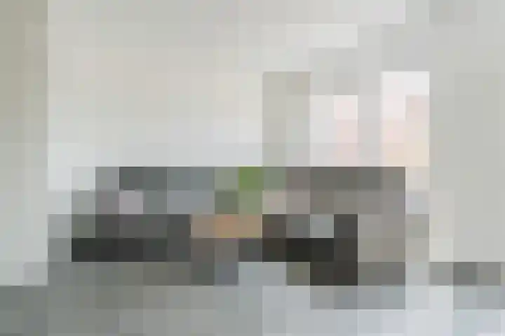Penningkruid 12 Bodegraven thumbnail 12