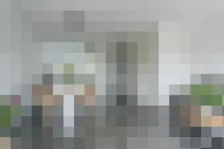 Penningkruid 12 Bodegraven thumbnail 13