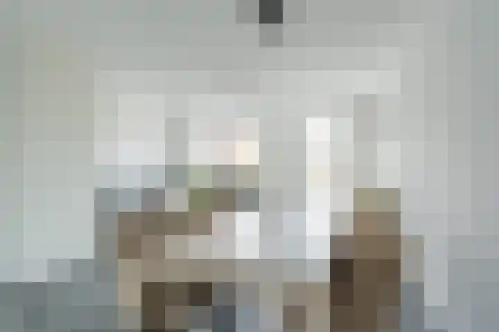 Penningkruid 12 Bodegraven thumbnail 14