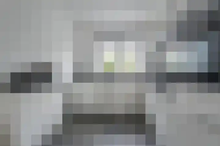 Penningkruid 12 Bodegraven thumbnail 17