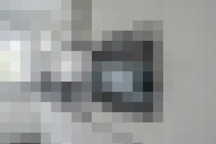 Penningkruid 12 Bodegraven thumbnail 18
