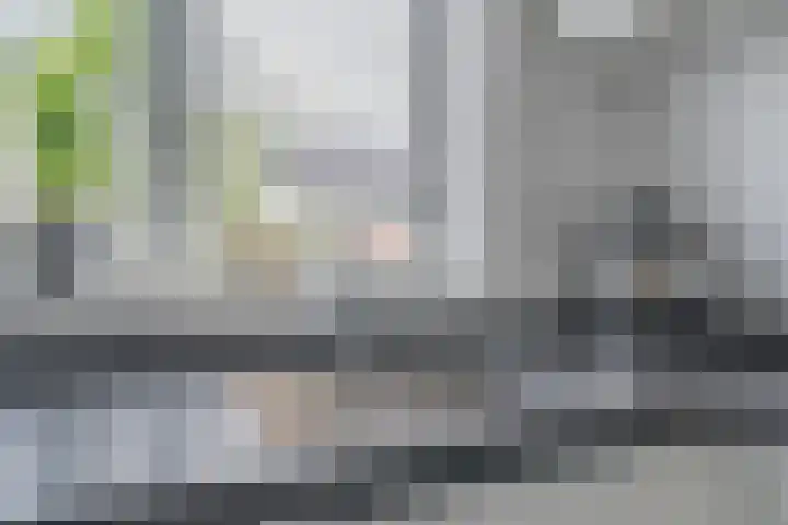 Penningkruid 12 Bodegraven thumbnail 19