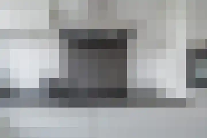 Penningkruid 12 Bodegraven thumbnail 20