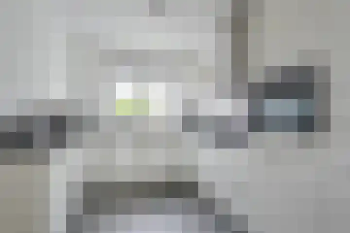 Penningkruid 12 Bodegraven thumbnail 21