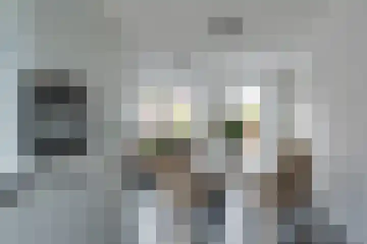 Penningkruid 12 Bodegraven thumbnail 22
