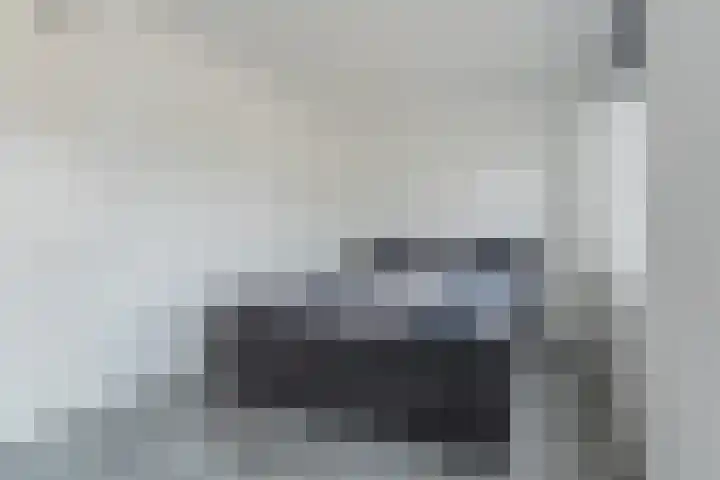 Penningkruid 12 Bodegraven thumbnail 24