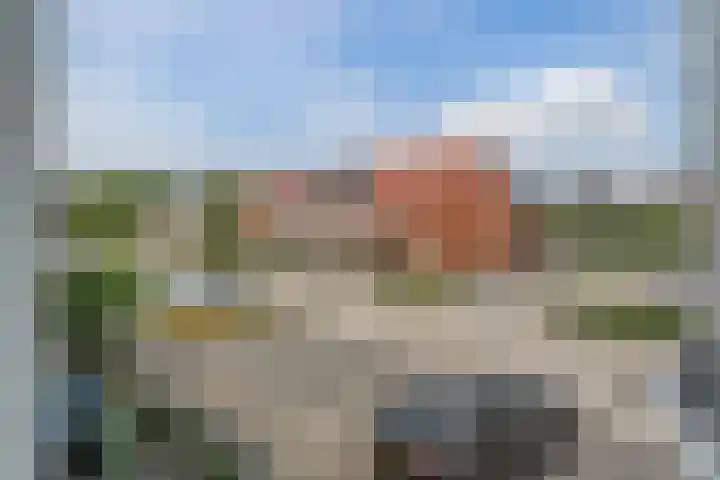 Penningkruid 12 Bodegraven thumbnail 26