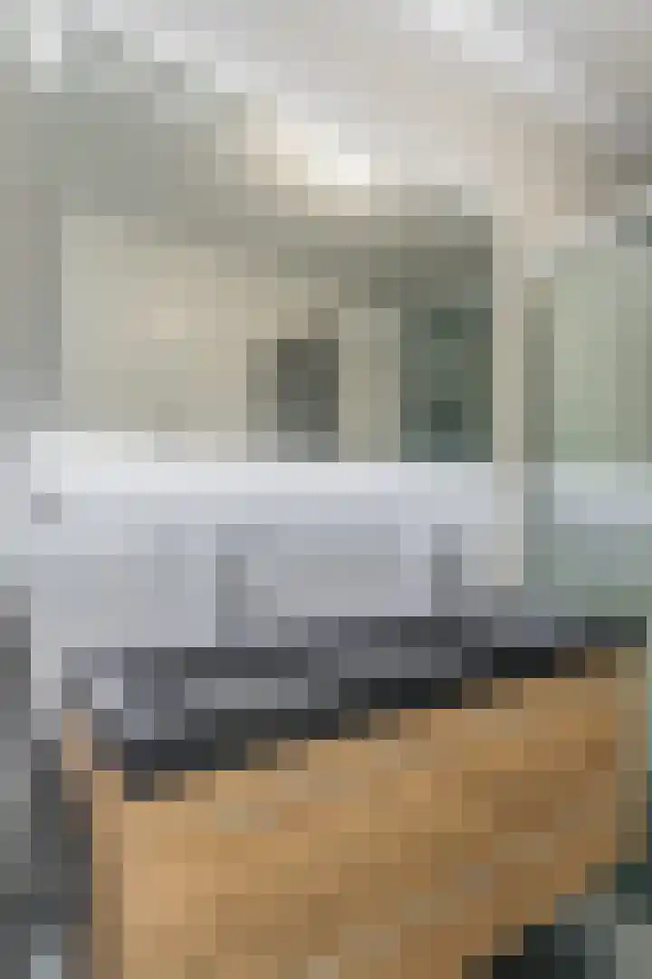Penningkruid 12 Bodegraven thumbnail 32