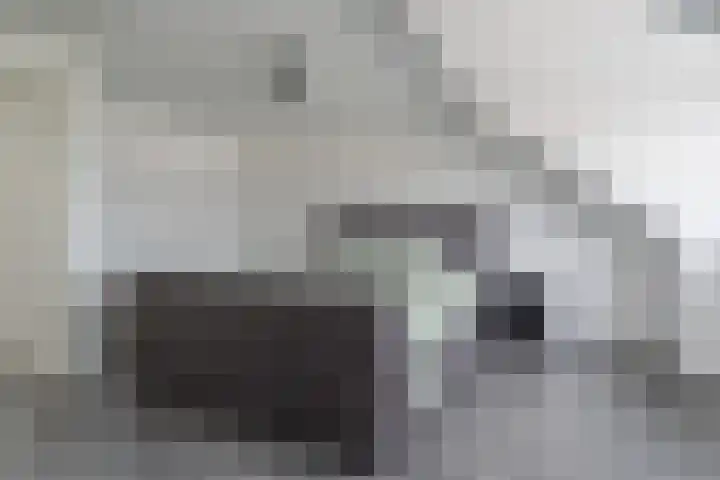 Penningkruid 12 Bodegraven thumbnail 38