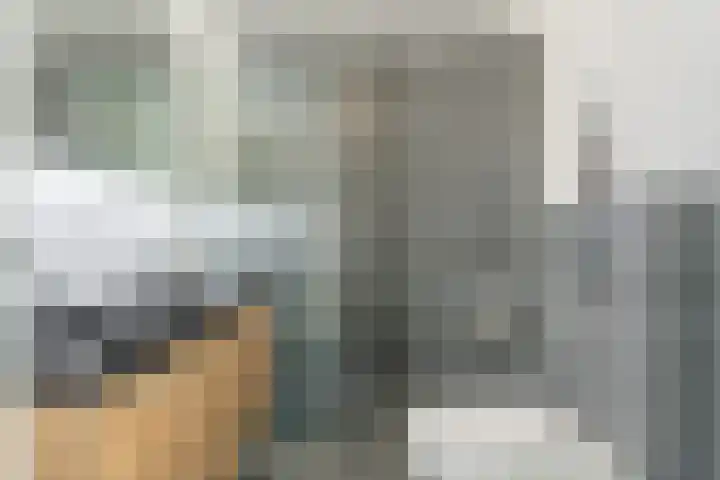 Penningkruid 12 Bodegraven thumbnail 4