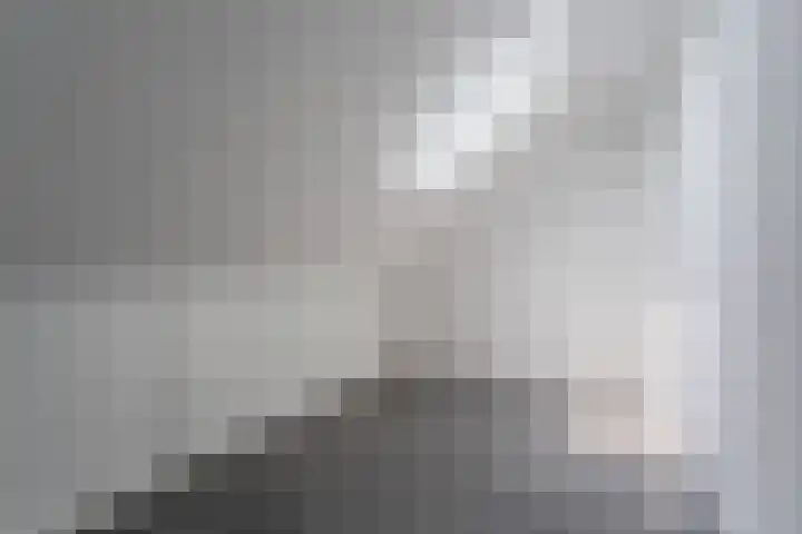 Penningkruid 12 Bodegraven thumbnail 42