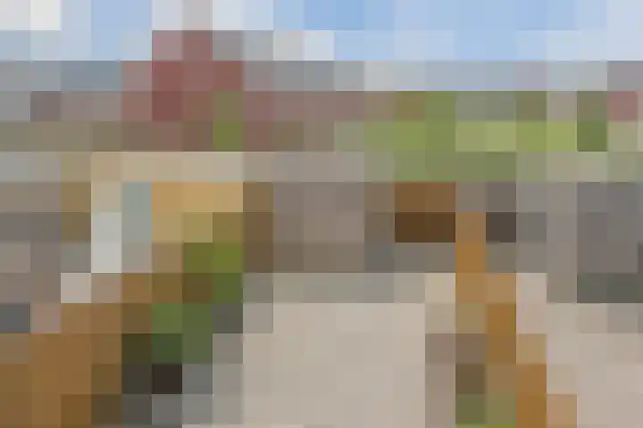 Penningkruid 12 Bodegraven thumbnail 44