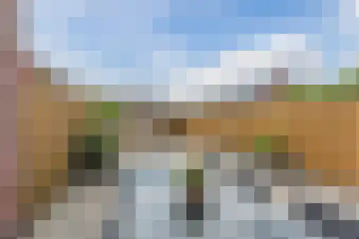 Penningkruid 12 Bodegraven thumbnail 46