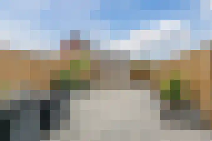 Penningkruid 12 Bodegraven thumbnail 47