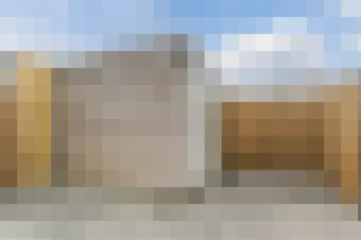 Penningkruid 12 Bodegraven thumbnail 48