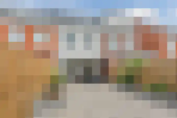 Penningkruid 12 Bodegraven thumbnail 49