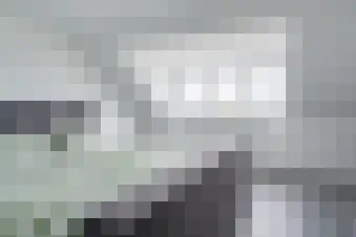 Penningkruid 12 Bodegraven thumbnail 5