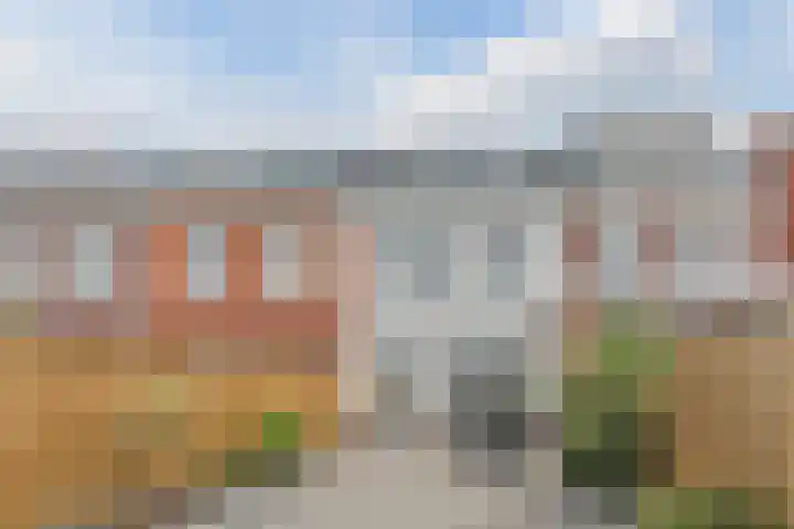 Penningkruid 12 Bodegraven thumbnail 50