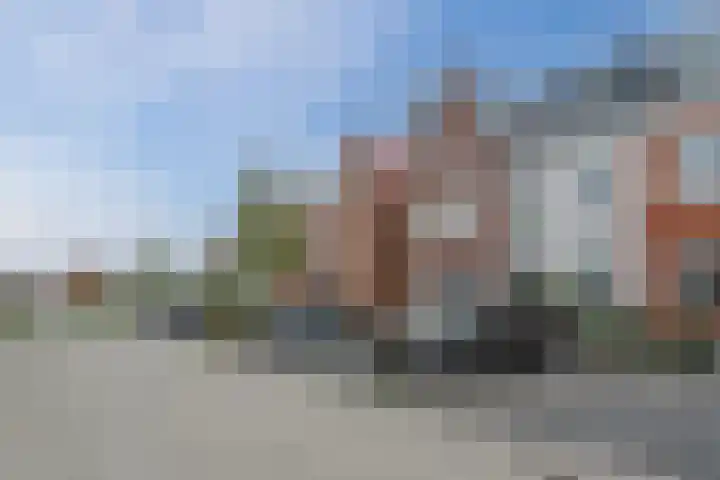 Penningkruid 12 Bodegraven thumbnail 52