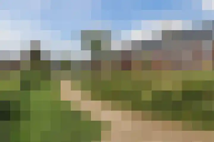 Penningkruid 12 Bodegraven thumbnail 53