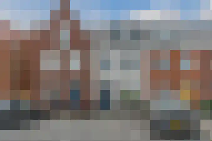 Penningkruid 12 Bodegraven thumbnail 7