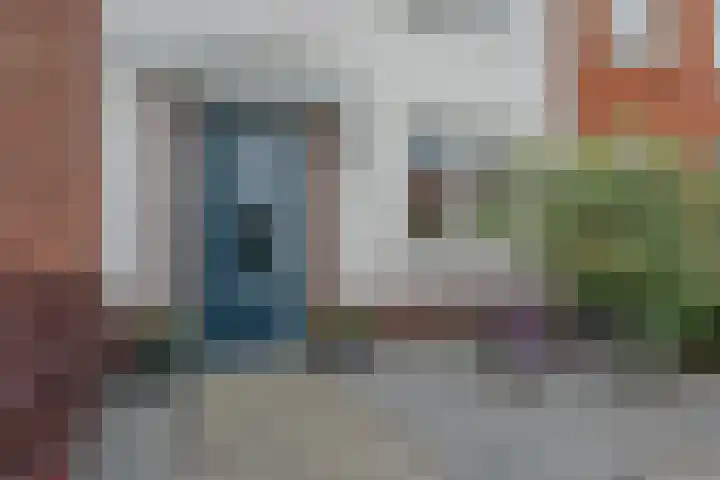 Penningkruid 12 Bodegraven thumbnail 8