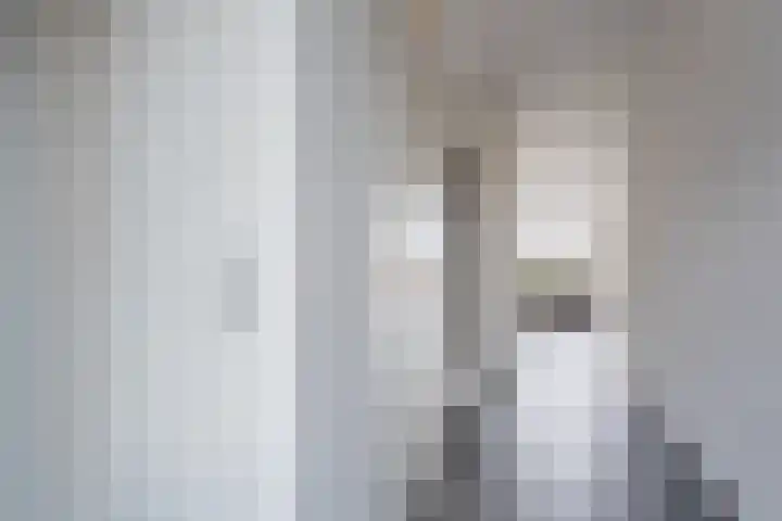 Penningkruid 12 Bodegraven thumbnail 9