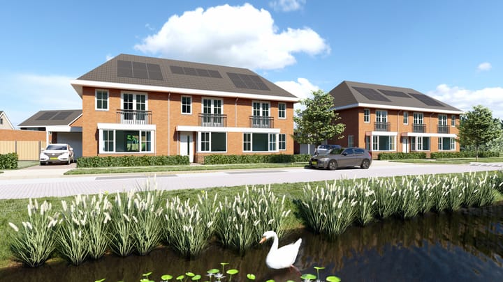 Penningkruid 18 in Vroomshoop foto