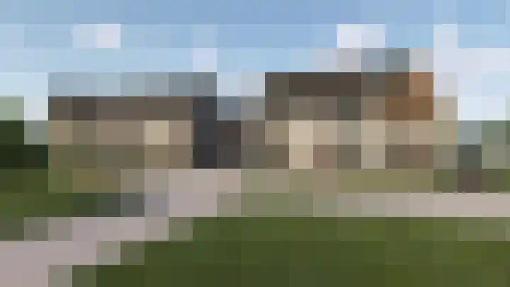 Penningkruid 2 Vroomshoop