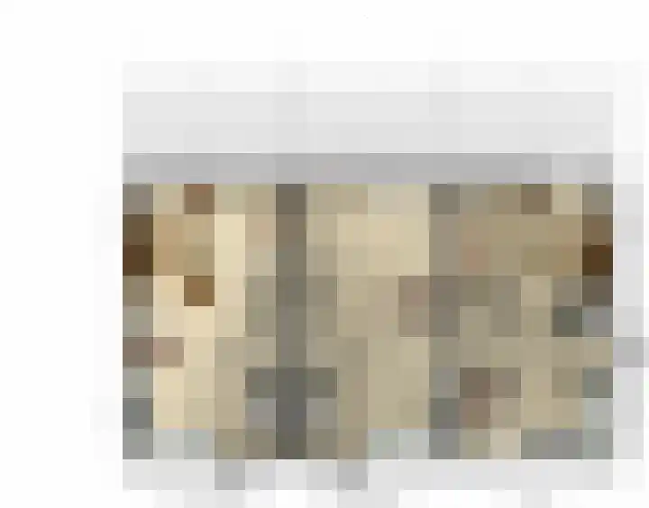 Penningkruid 2 Vroomshoop thumbnail 10
