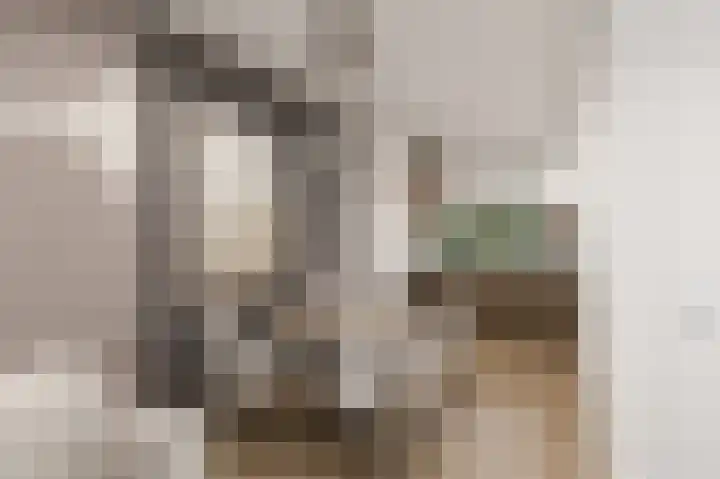 Penningkruid 2 Vroomshoop thumbnail 5