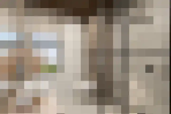 Penningkruid 2 Vroomshoop thumbnail 6