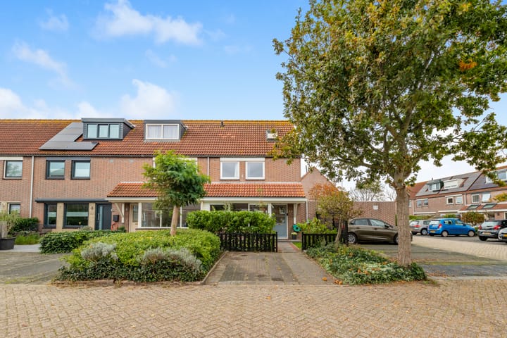 Penningkruid 22 in Uitgeest foto