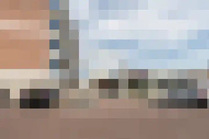 Penningkruid 23 Kampen thumbnail 9