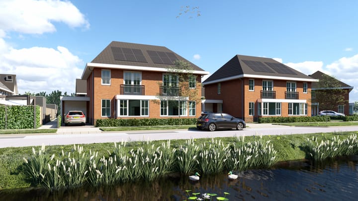 Penningkruid 25 in Vroomshoop foto