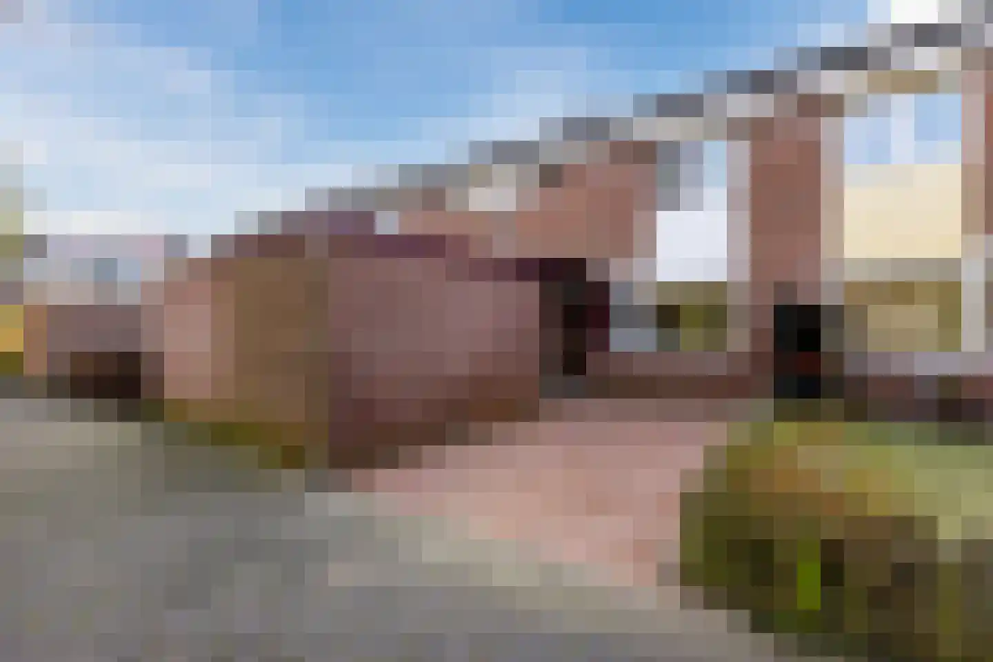 Penningkruid 28 in Nieuwerkerk aan den IJssel
