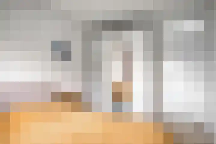 Penningkruid 41 Kampen thumbnail 24