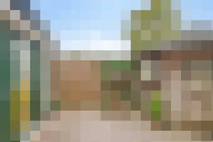 Penningkruid 41 Kampen thumbnail 34