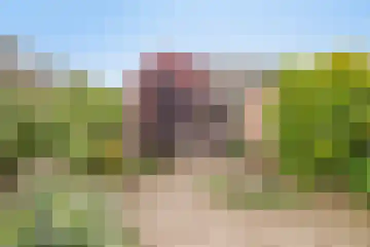 Penningkruid 41 Kampen thumbnail 35