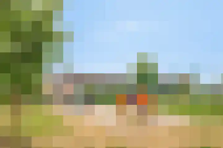 Penningkruid 41 Kampen thumbnail 43