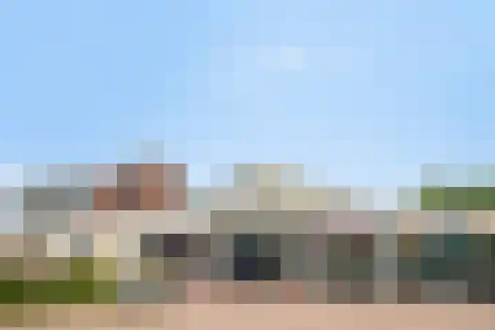 Penningkruid 41 Kampen thumbnail 45