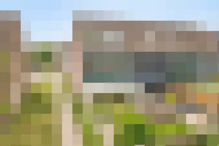 Penningkruid 41 Kampen thumbnail 54